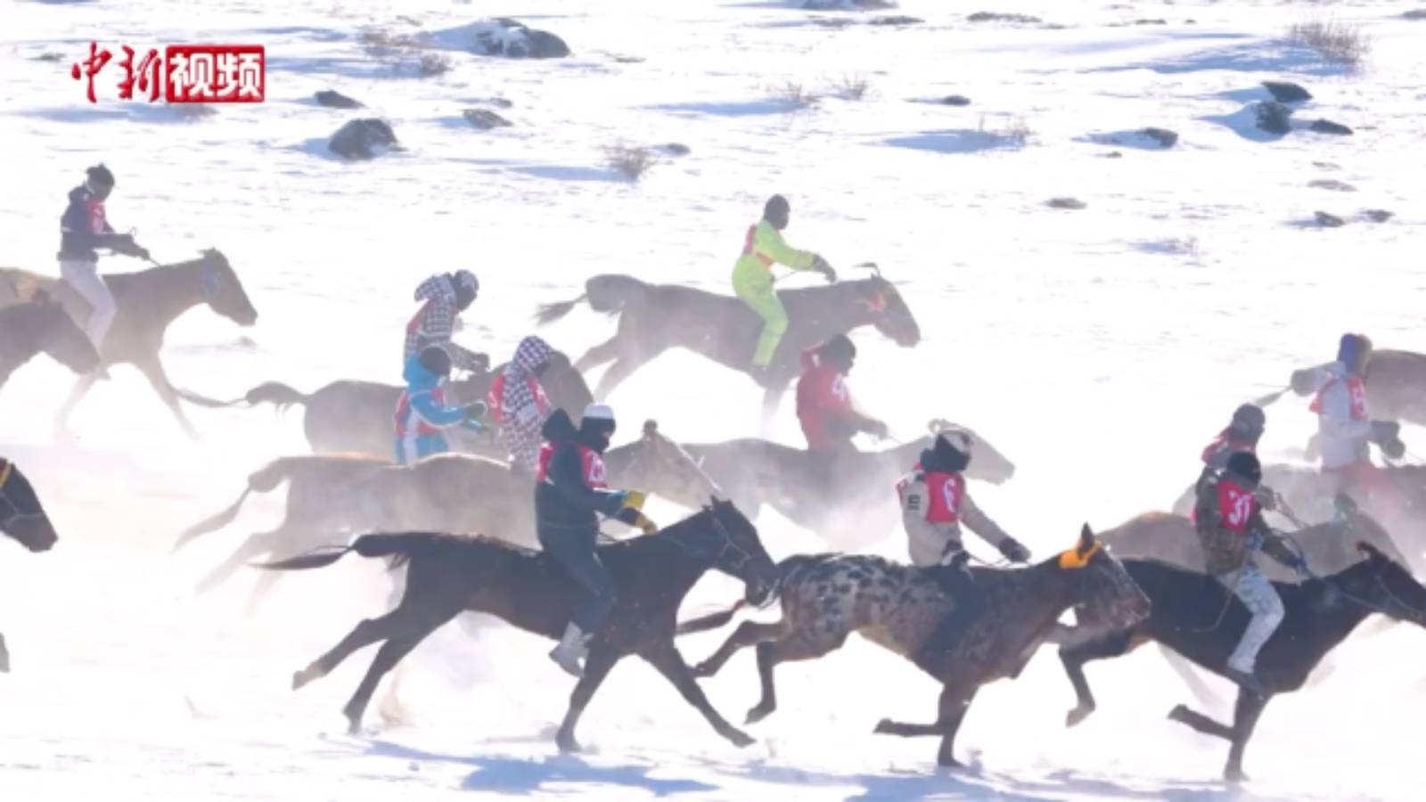 内蒙古锡林郭勒雪野上演“万马奔腾”