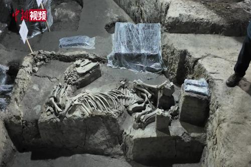 浙江绍兴稽中遗址出土五百余枚简牍