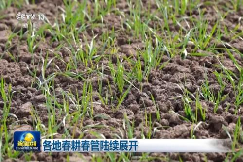 各地春耕春管陆续展开