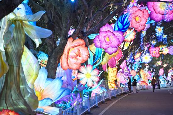 （新春见闻）第55届成都国际熊猫灯会璀璨亮灯