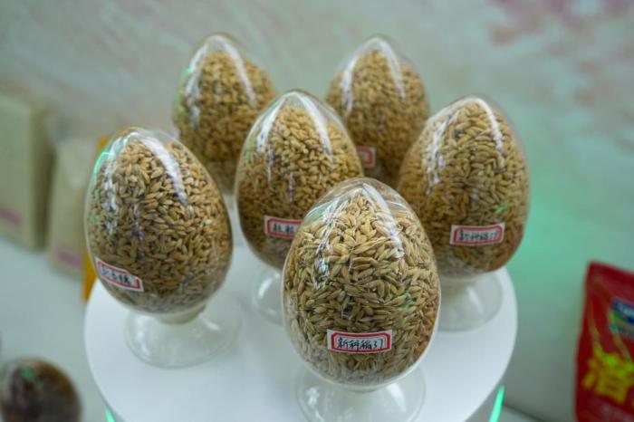 学者：粮食稳得住，也要卖得好